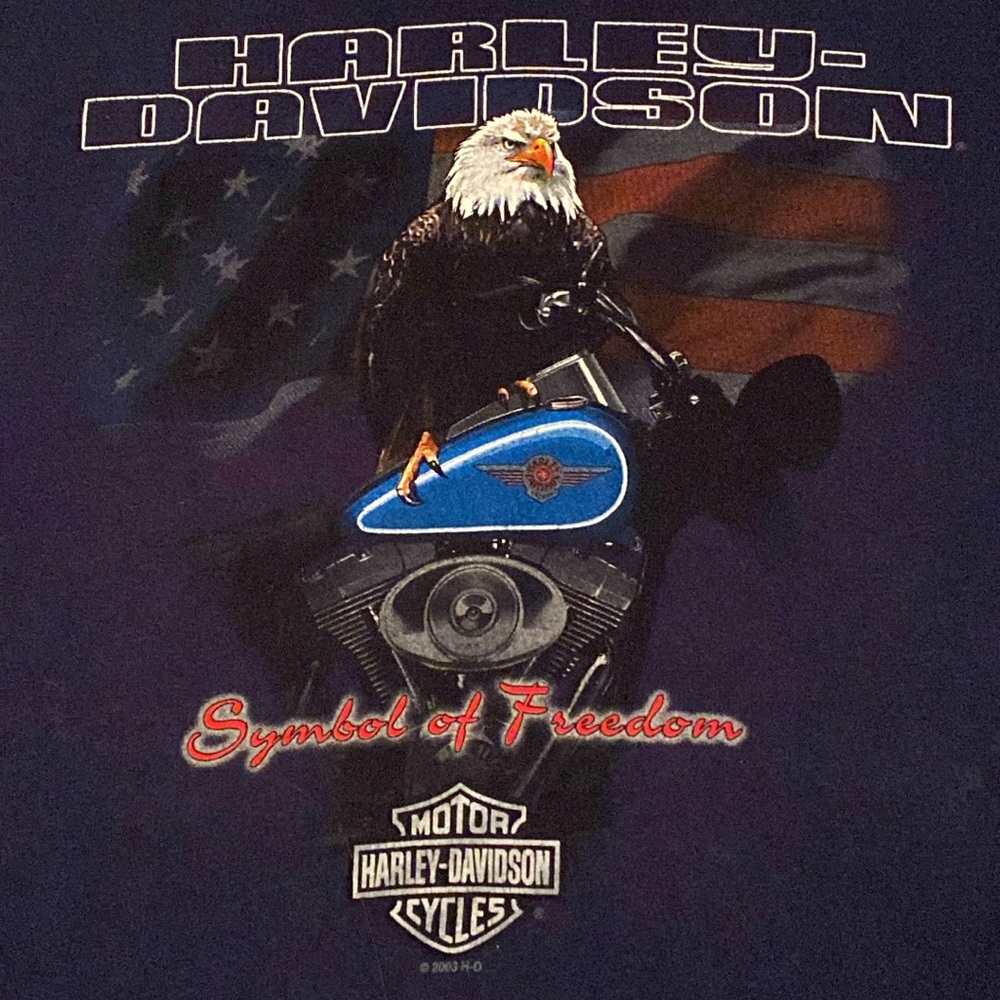 Harley Davidson Eagle Symbol of Freedom Short Sleeve T Shirt Charleston, SC XXXL